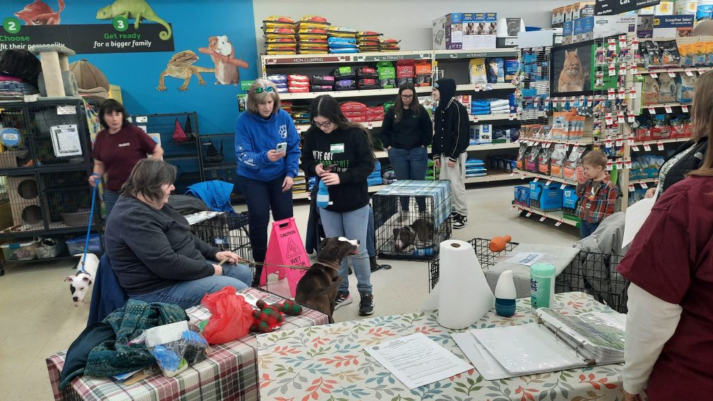 Image of Adoption Event at Pet Supplies Plus