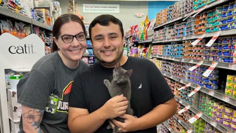 Image of cat with owner for franchise news article about pet adoption