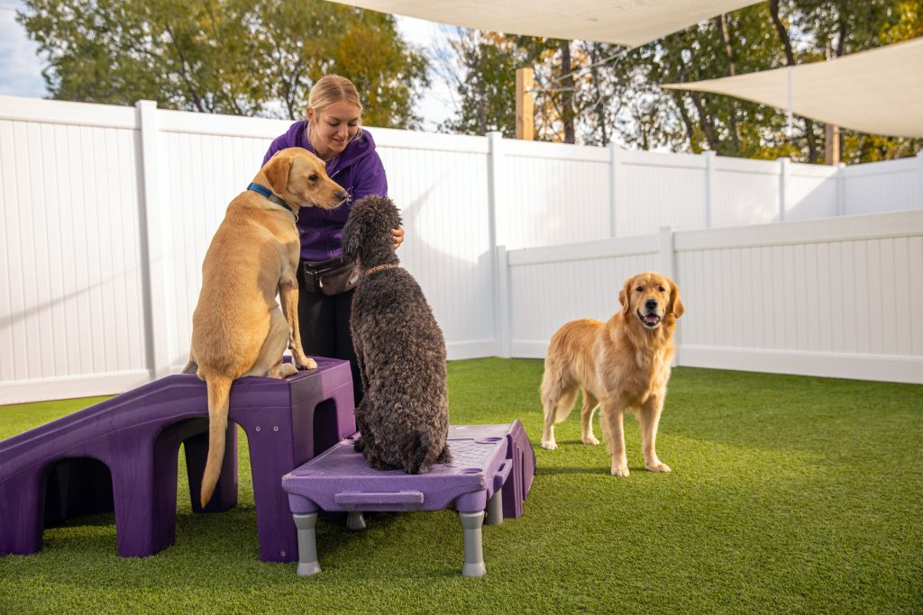 Image of Central Bark Outdoor Facility