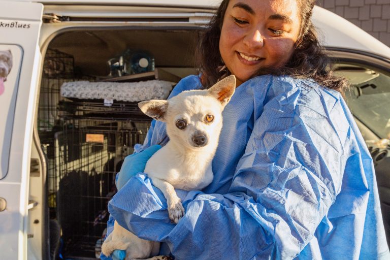 California Wildfires Pet Displaced from Home