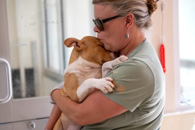 Image of Best Friend Animal Society Team Members holding a dog. One of Texas Pets impacted by the floods. For article about Pet Supplies in the Texas floods.