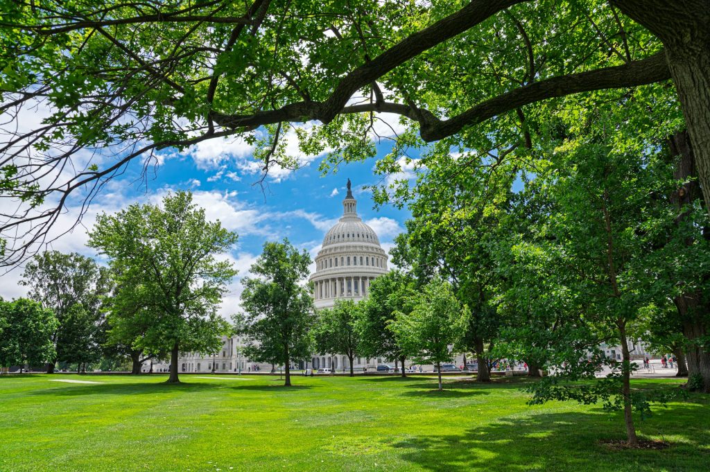 Washington DC IFA Advocacy Summit capital building